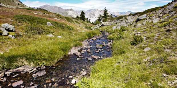 Grand Area - Hautes Alpes