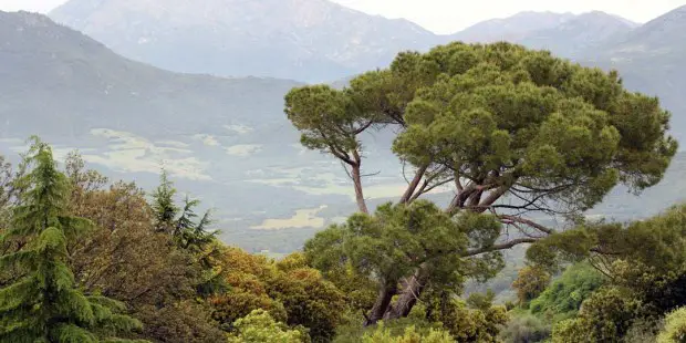 Sartène - Corse