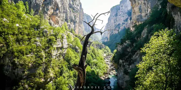 Randonnée dans les gorges du Verdon