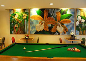 billard / pool