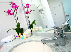 Salle de bain / Bathroom