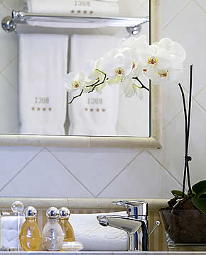 Salle de bain / Bathroom
