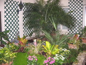 garden