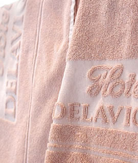 Hotel Delavigne