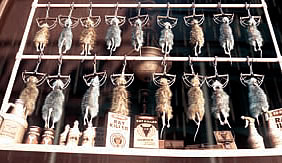 The Exterminator Shop
