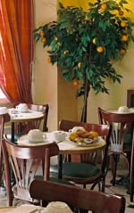 petit déjeuner / breakfast