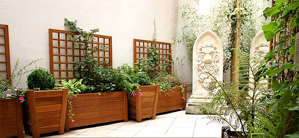 Jardin / Garden