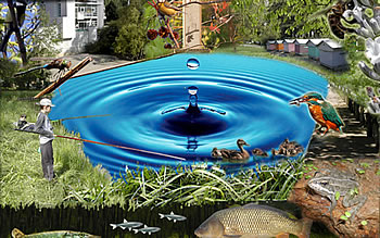 Maison de la Pêce et de la Nature
