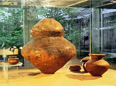 Musée Préhistorique de Nemours