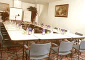 Salle de conf&eacute;rence / Meeting room