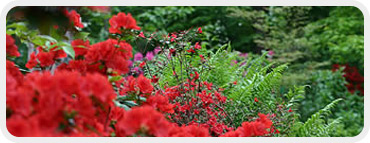Parc Floral de Paris