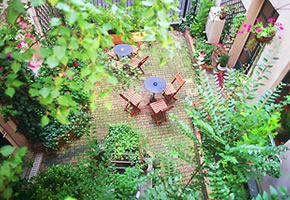 Jardin interieur / Garden