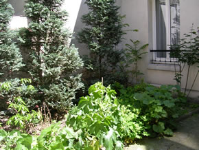 garden / jardin