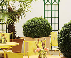 Patio / garden