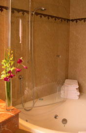 Salle de bain / Bathroom