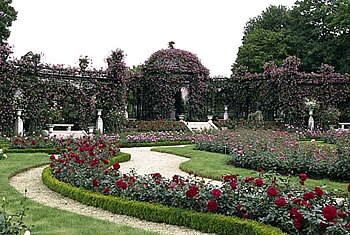 Roseraie du Val de Marne
