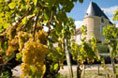 Bordeaux hotels
