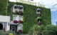 Voir Hotel Wilson B�gles Garonne