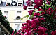 Go to H�tel Le Grand Monarque