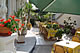 Go to H�tel Lepante