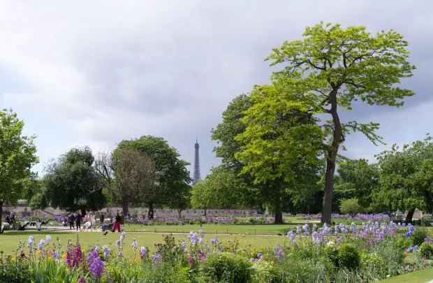 Tuileries garden