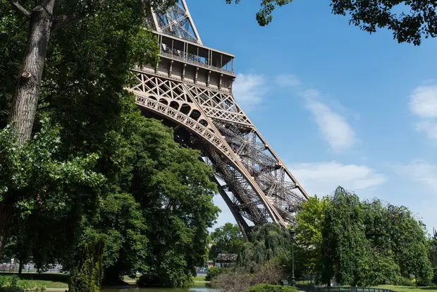 Blue sky Eiffel Trees beautiful