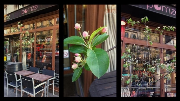 Haussmann-Opéra District, Our Best Addresses in Paris Shopping Temple