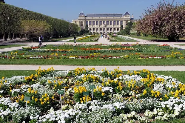 Jardin des Plantes