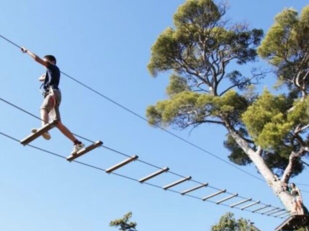High Adventure Course in the Ecopark