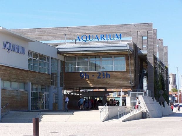 The Aquarium