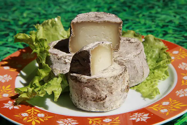 crottin de chavignol