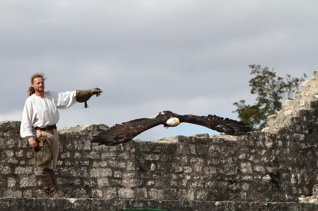 Les aigles des remparts