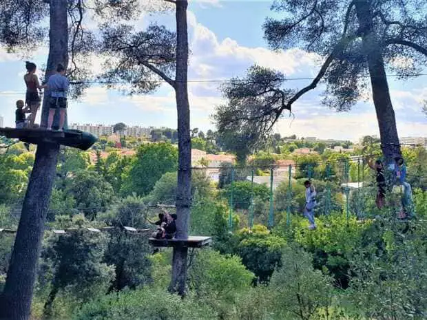 treetop park