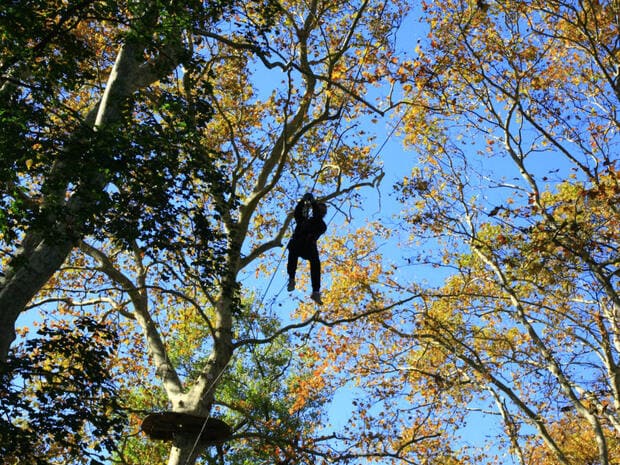 Treetop adventure courses