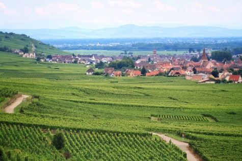 alsace