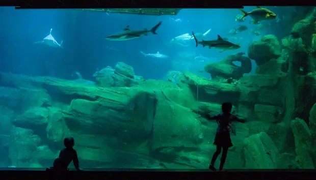 Paris Aquarium