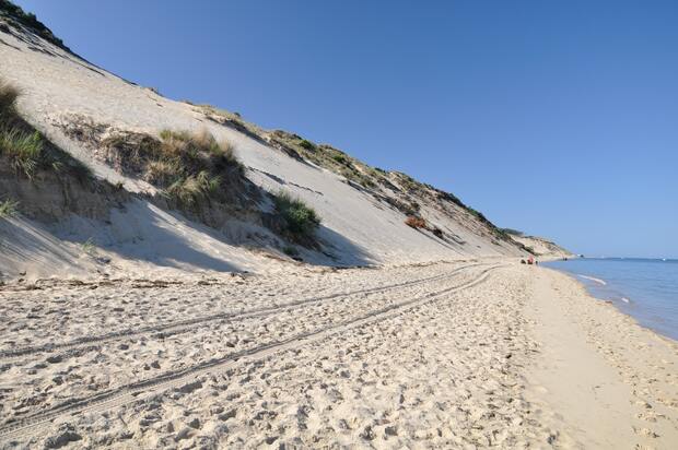 Arcachon dunes