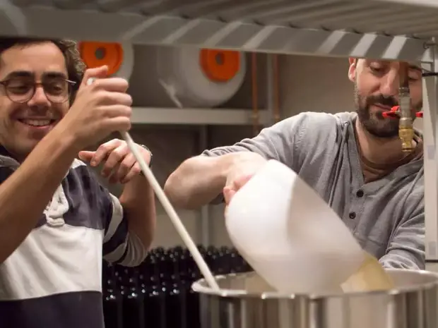 brewing beer
