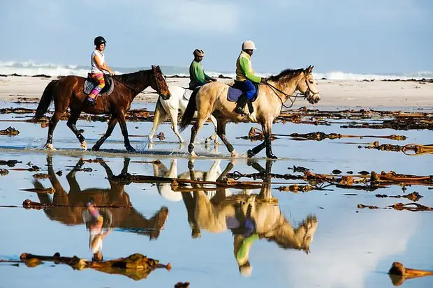 Horse ride on the beach