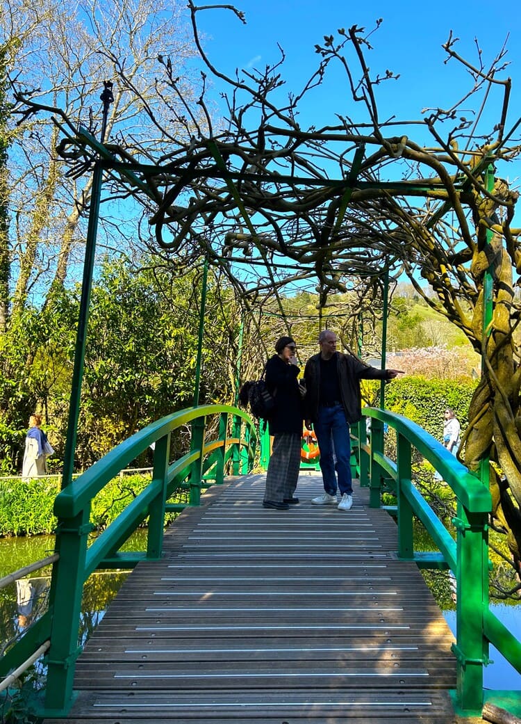 A bridge in the garden
