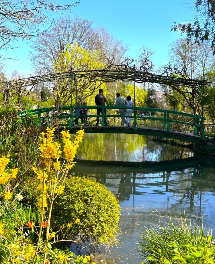 Bridge above the lily pond