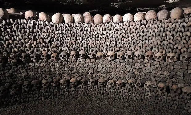 Some bones in the Catacombs of Paris