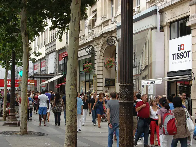 Crowd in the Champs-Élysées