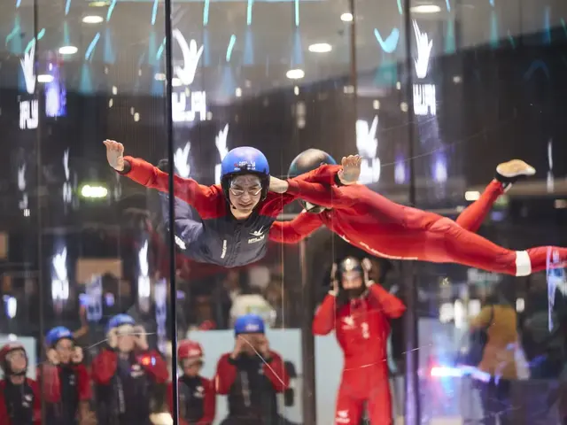 free fall simulator