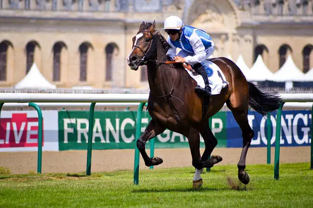 Horse racing at the racetrack