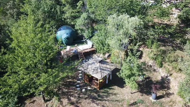 hut and trees