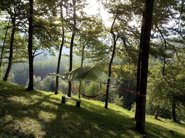 Hanging tent in the woods