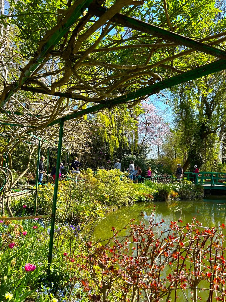 Monet's garden