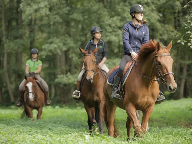 haras de la cense