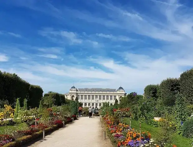 Jardin des plantes 